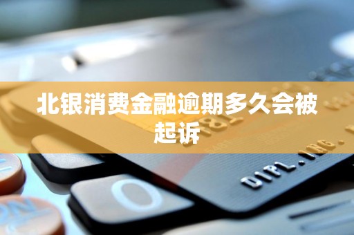 北銀消費金融逾期多久會被起訴及金融機構委托情況分析